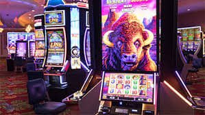 377bet com